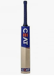 Kashmir Willow Short Handle Cricket Bat, Size - 4