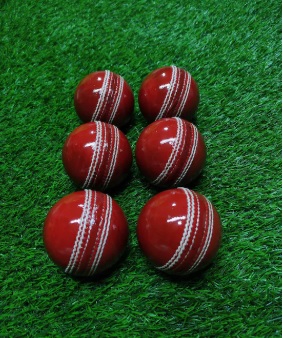 Leather Cricket Training/Practice Balls (2Pcs)