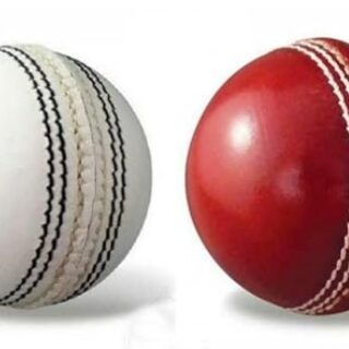 Leather Cricket Ball Combo Pack of 2