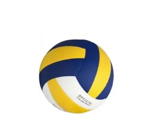 Volleyball for Training & Practice - Image 2